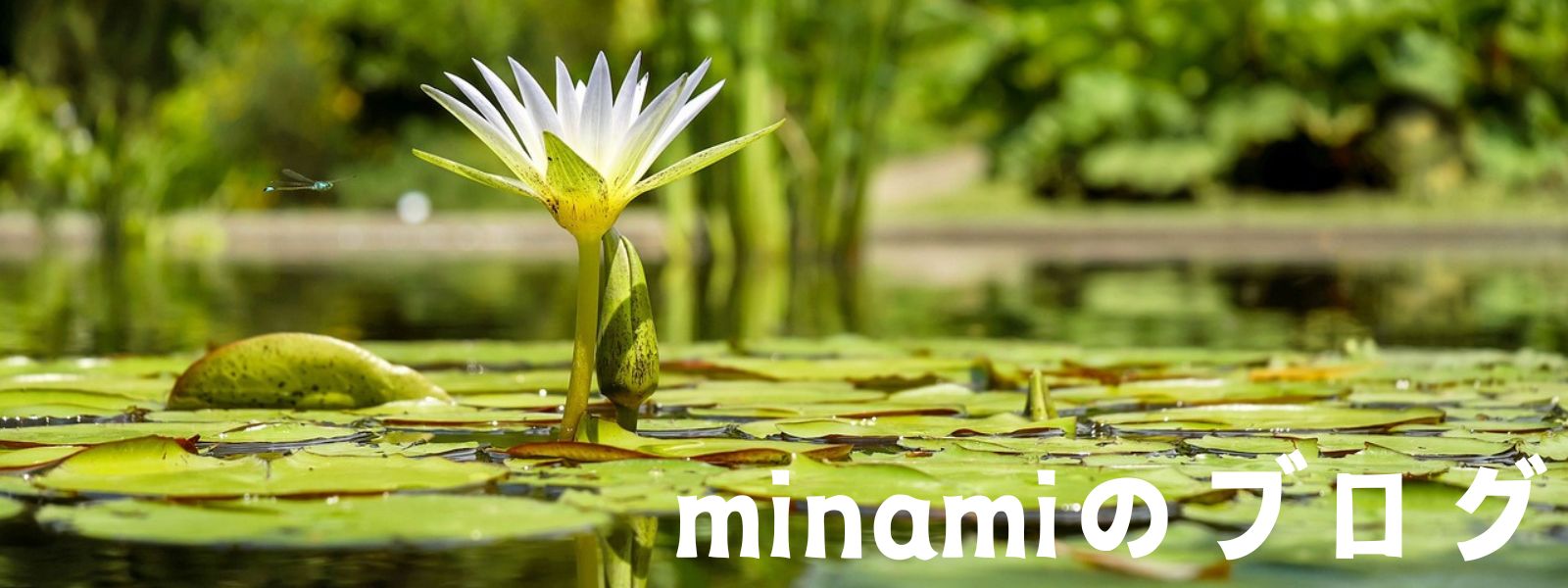 minamiのブログ